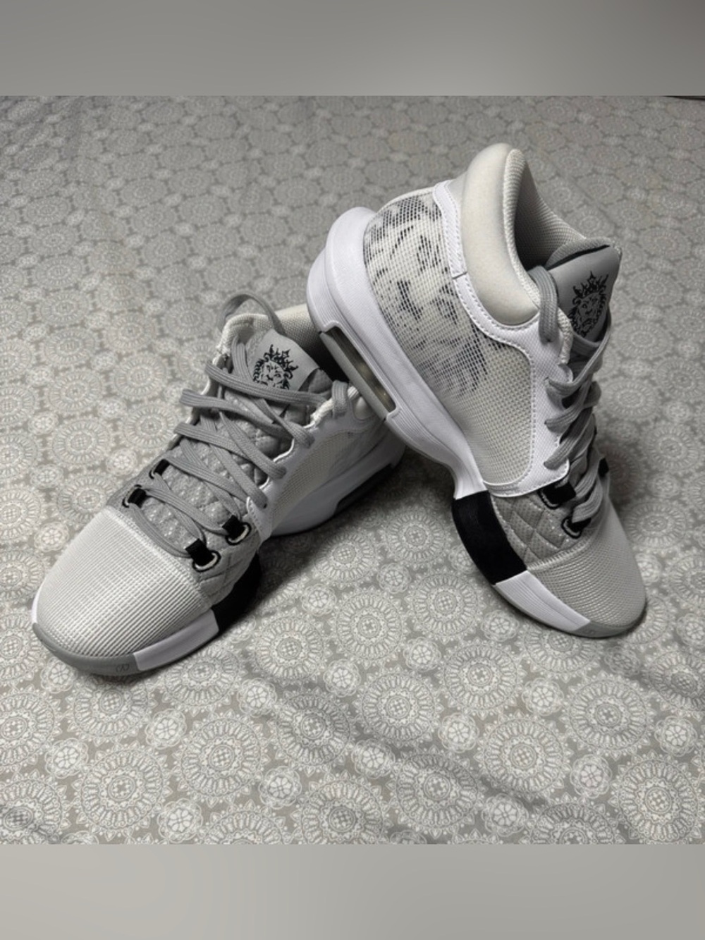 LeBron James Witness VIII